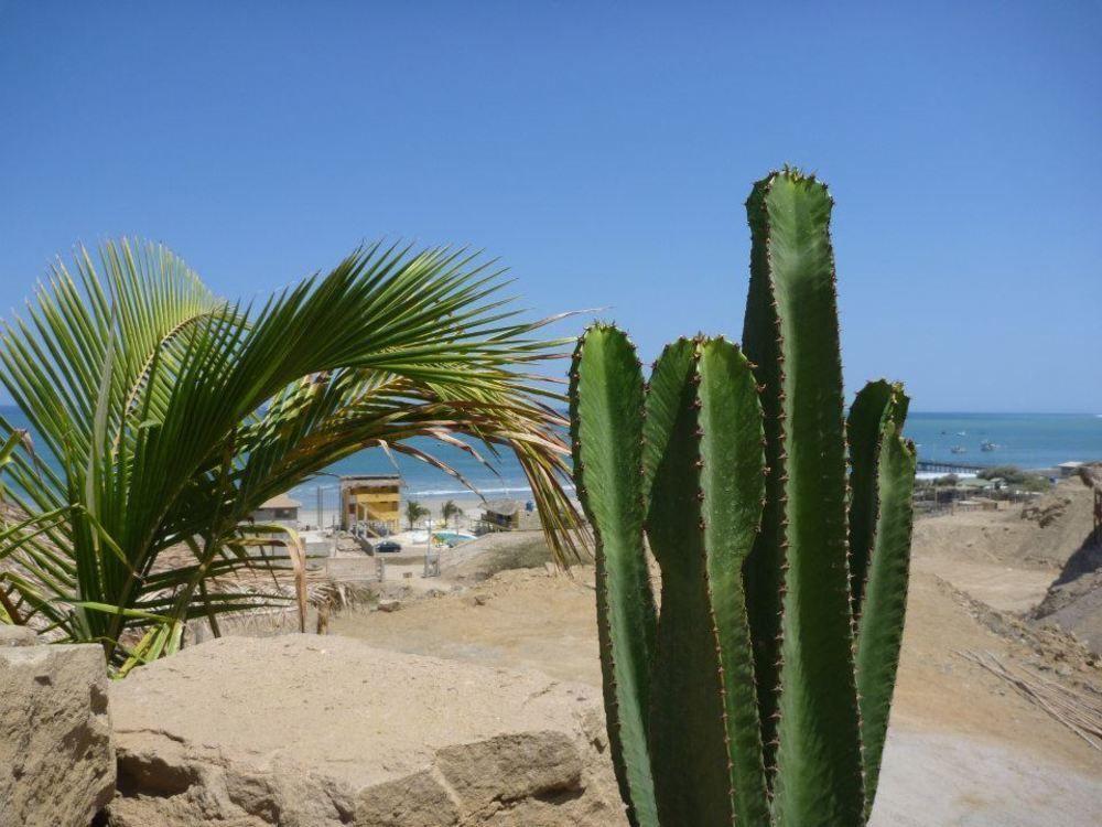 Oceanic Bungalows Los Órganos エクステリア 写真
